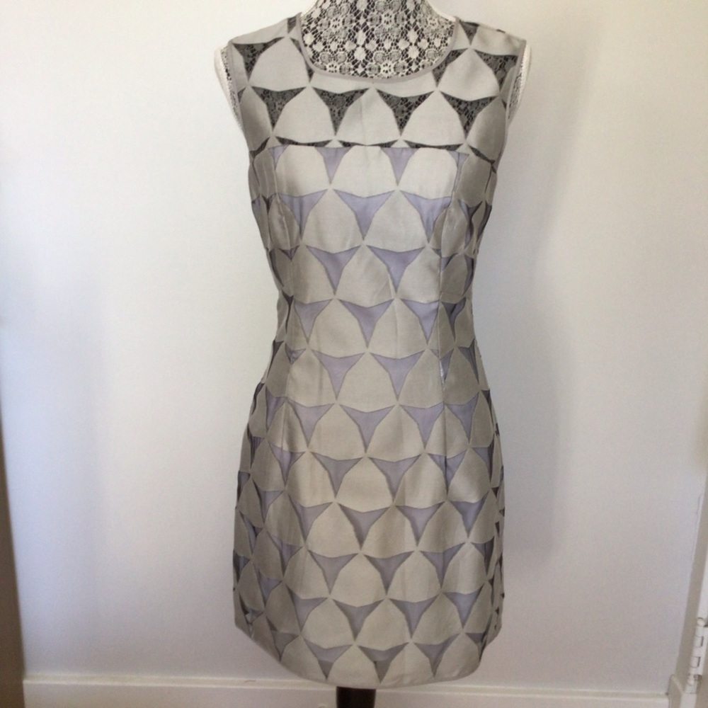 𝅺milly Dress: Mesh Cutout Overlay on White Lining